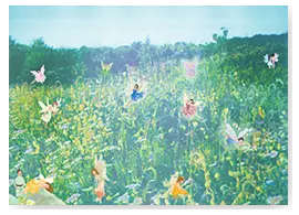 fields-of-fantasy