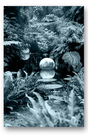 itsajungle