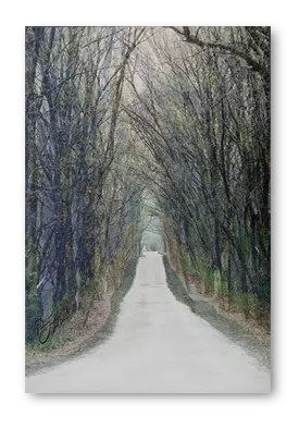 Responsible Road