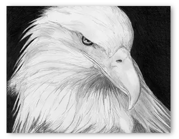 The Mighty Eagle